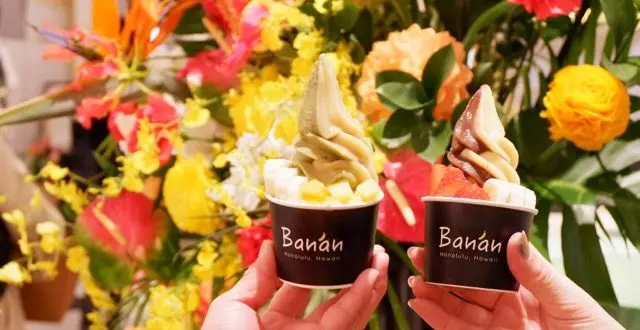 【グランフロント大阪×おしゃれカフェ】インスタ映えアイスが可愛い『Banan』が2020年大注目！！