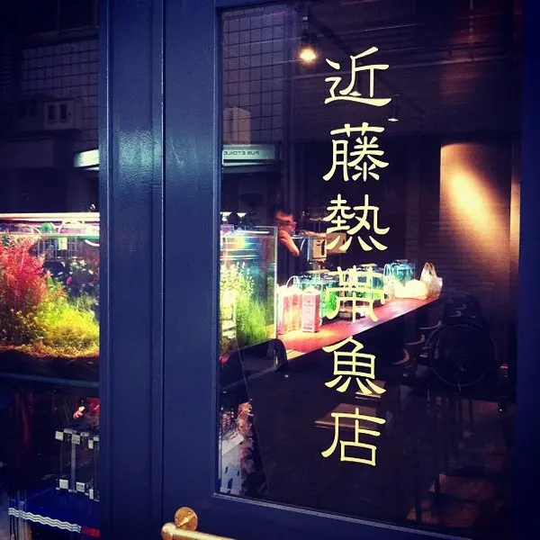 【天五×BAR】アクアリウムとお酒がイイ感じ。『近藤熱帯魚店』