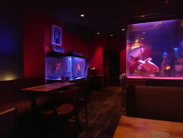 フィッシュ 店内