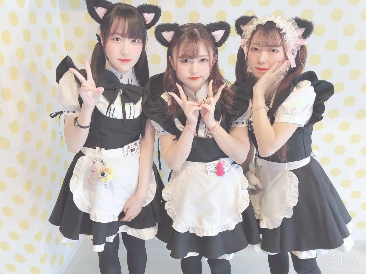 クロネコ キャスト