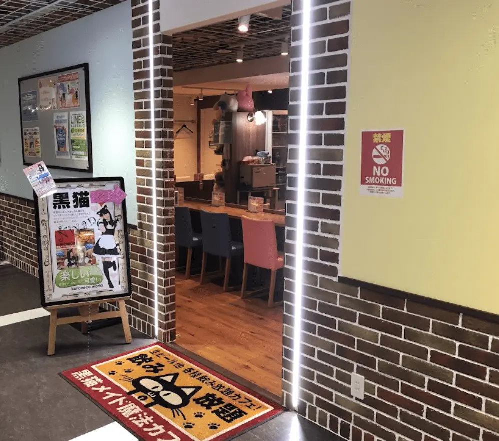 黒猫 店内