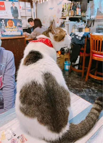 くろしを店内２