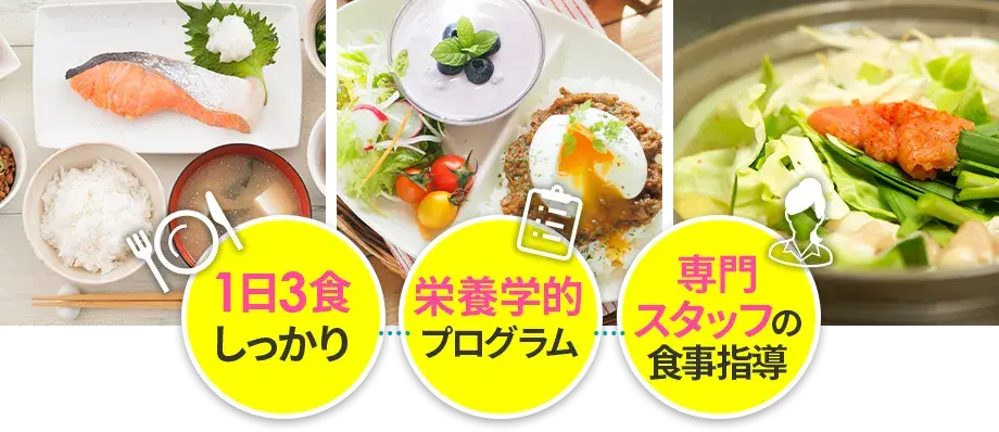 パームスの食事プラン