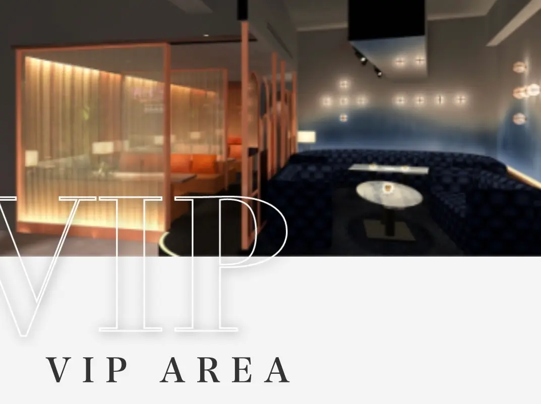 VIPエリア