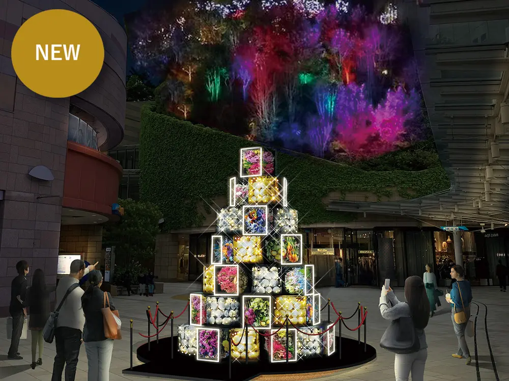 なんば光旅 なんばCITY&なんばパークス イルミネーション1 心斎橋クリスマスイベント