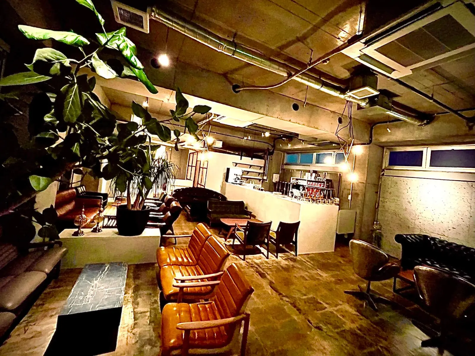 シーシャ カフェ バー NORTH VILLAGE 六本木VIP店 店内