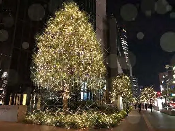 MIDLAND CHRISTMAS 2022 ツリー