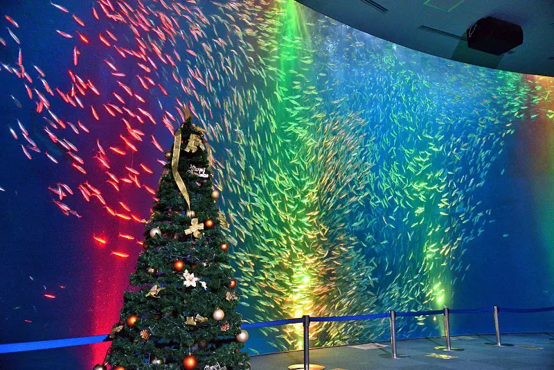 名古屋港水族館 クリスマス アクアリウムイベント クリスマスイベント 魚イルミネーション