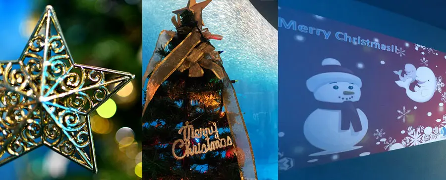名古屋港水族館 クリスマス アクアリウムイベント クリスマス装飾
