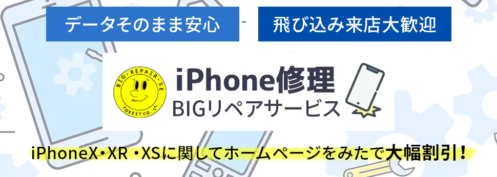BIGリペアサービス