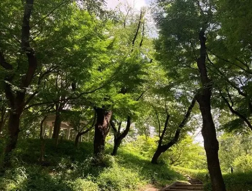 新宿中央公園
