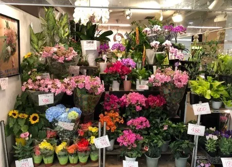 フラワーショップ花次郎 なんばウォーク店