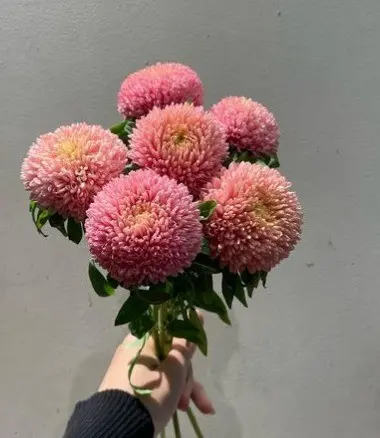 フラワーアレンジ